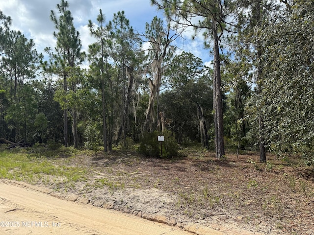 151 Long Branch Trl, Interlachen, FL 32148