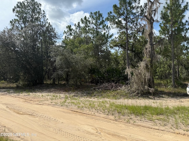 151 Long Branch Trl, Interlachen, FL 32148
