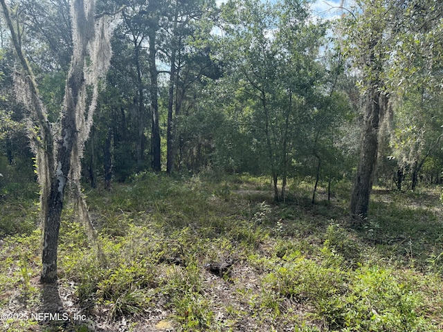 151 Long Branch Trl, Interlachen, FL 32148