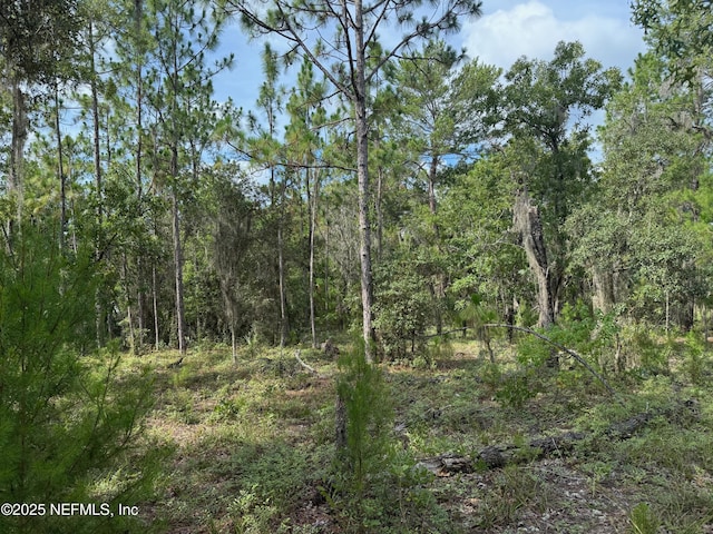 151 Long Branch Trl, Interlachen, FL 32148