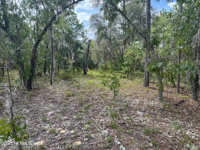 151 Long Branch Trl, Interlachen, FL 32148