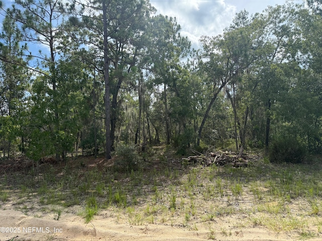 151 Long Branch Trl, Interlachen, FL 32148