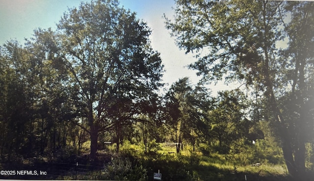 0 SW Blanton Ln, Lake City, FL 32024