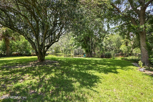 4218 Kings Ct, Jacksonville, FL 32217 - photo 33
