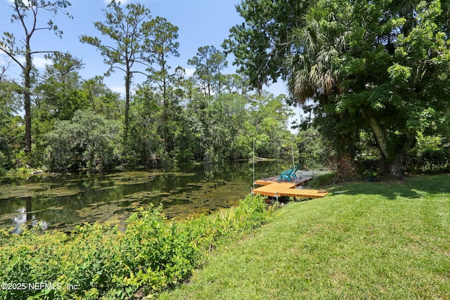 4218 Kings Ct, Jacksonville, FL 32217 - photo 34