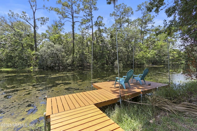 4218 Kings Ct, Jacksonville, FL 32217 - photo 4