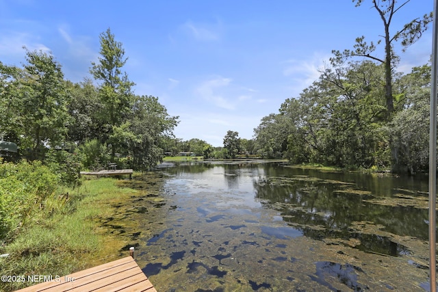 4218 Kings Ct, Jacksonville, FL 32217 - photo 44