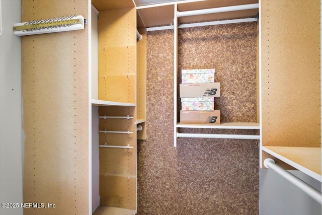 110 Abalone Ln W, Ponte Vedra Beach, FL 32082 - view of walk in closet