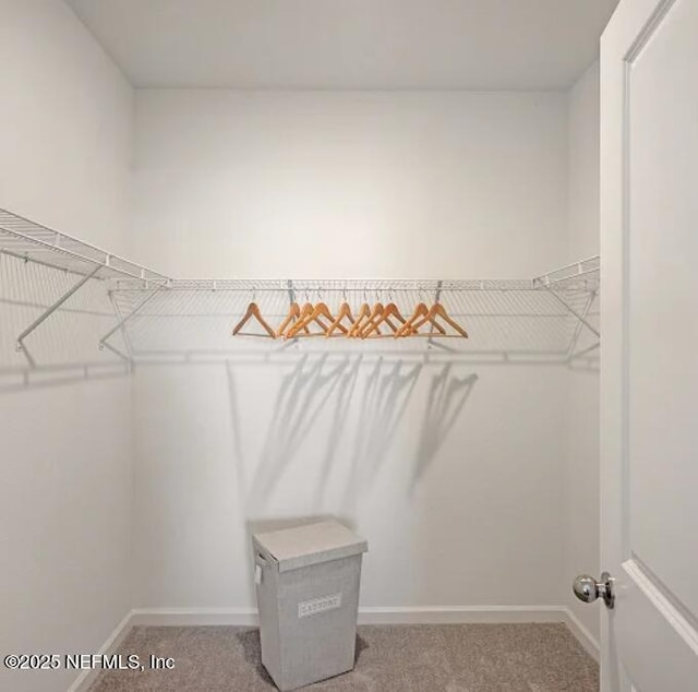 179 Charmer Trce, Saint Augustine, FL 32092 - spacious closet featuring light colored carpet