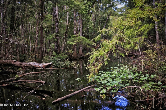 179 Charmer Trce, Saint Augustine, FL 32092 - view of local wilderness
