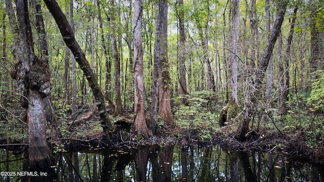 179 Charmer Trce, Saint Augustine, FL 32092 - water view with a forest