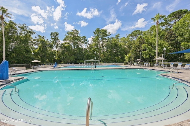 1500 Calming Water Dr Unit 4504, Fleming Island, FL 32003 - community pool with view of wooded area