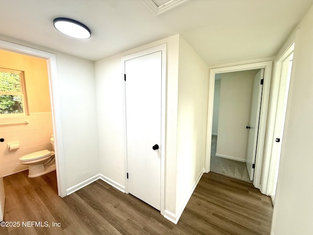 2536 Wedgefield Blvd, Jacksonville, FL 32211 - hallway with dark wood-type flooring and tile walls