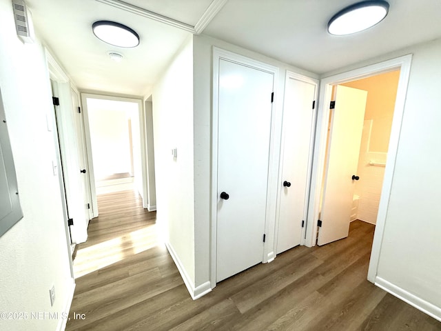 2536 Wedgefield Blvd, Jacksonville, FL 32211 - hall featuring wood finished floors and baseboards