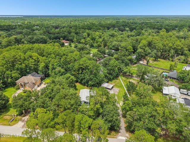 1601 Marlee Rd W, Fruit Cove, FL 32259 - photo 48