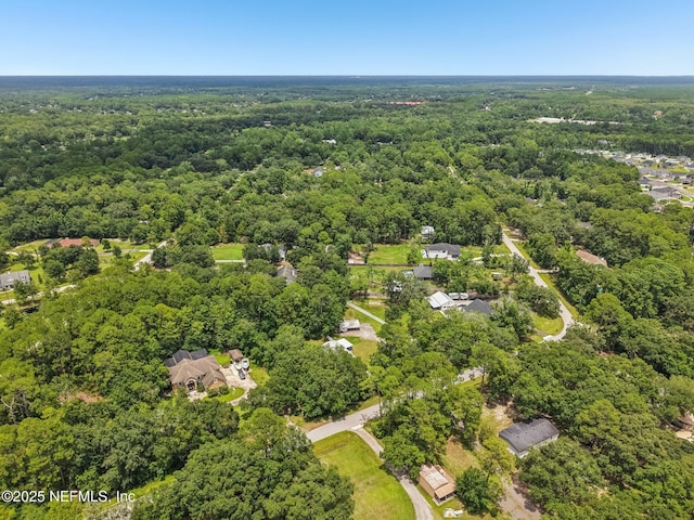 1601 Marlee Rd W, Fruit Cove, FL 32259 - photo 52