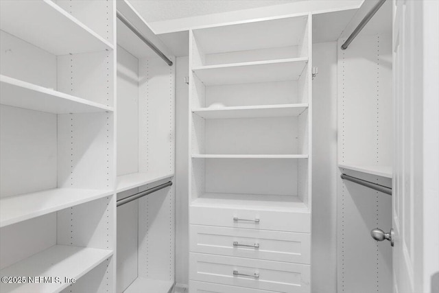 1415 Lantern Light Trl, Middleburg, FL 32068 - view of spacious closet
