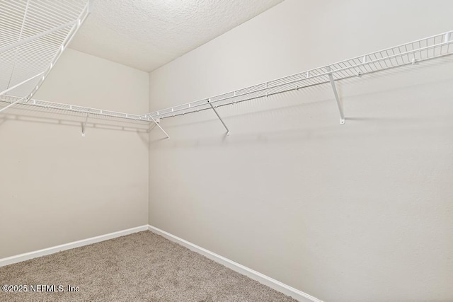 9680 Wexford Chase Rd, Jacksonville, FL 32257 - photo 17