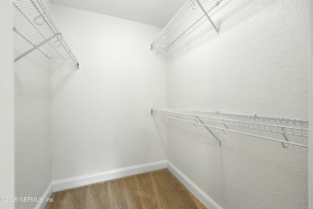 736 Tidewater Ct, Ponte Vedra Beach, FL 32082 - walk in closet with carpet flooring