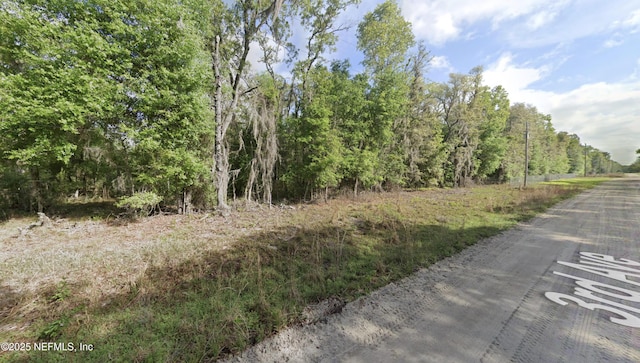 316 3rd Ave, Satsuma, FL 32189 - photo 2