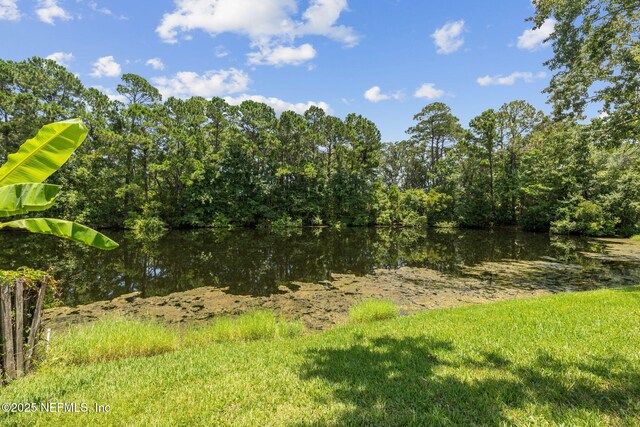 2751 Canyon Falls Dr, Jacksonville, FL 32224 - photo 47