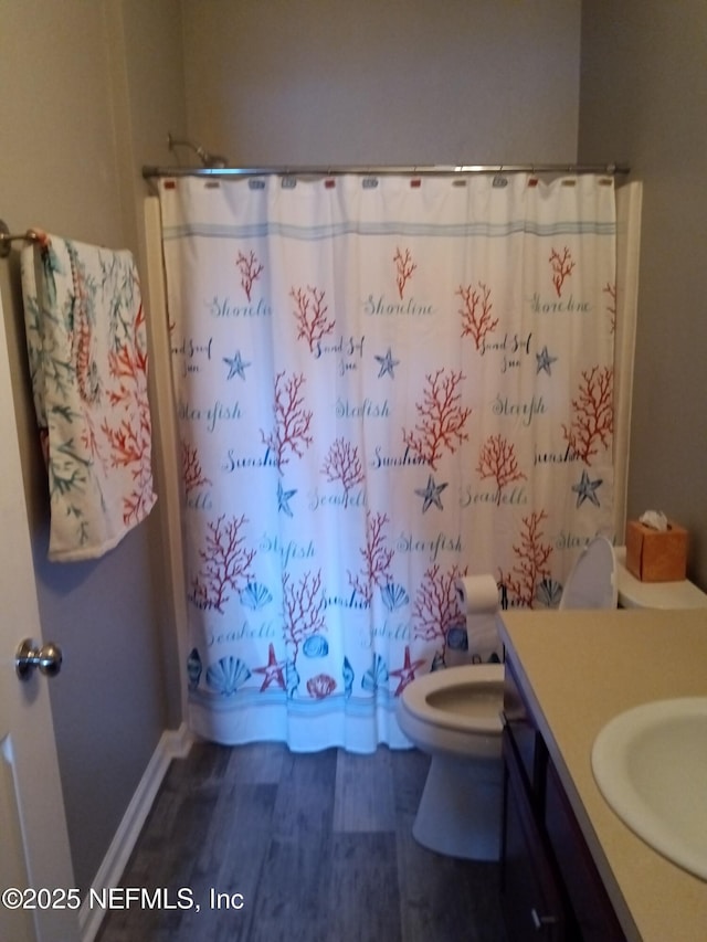 3671 Kirkpatrick Cir Unit 6, Jacksonville, FL 32210 - bathroom with vanity, curtained shower, and wood finished floors