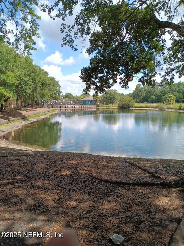 3671 Kirkpatrick Cir Unit 6, Jacksonville, FL 32210 - water view