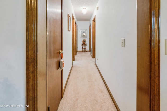 4253 Chokeberry Rd, Middleburg, FL 32068 - corridor featuring light colored carpet and a textured ceiling