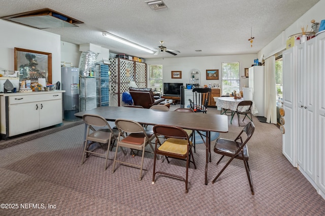 4253 Chokeberry Rd, Middleburg, FL 32068 - dining space featuring light colored carpet, electric water heater, a textured ceiling, a desk, and a ceiling fan