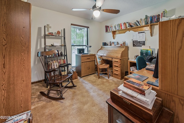 4253 Chokeberry Rd, Middleburg, FL 32068 - office space featuring light colored carpet, a ceiling fan, and a textured ceiling