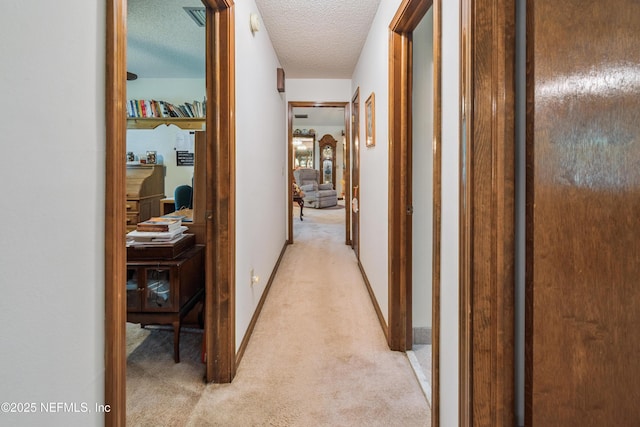 4253 Chokeberry Rd, Middleburg, FL 32068 - hall with light colored carpet and a textured ceiling
