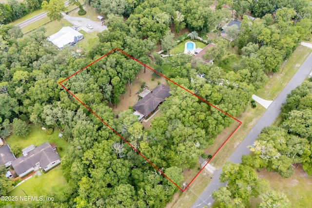 4253 Chokeberry Rd, Middleburg, FL 32068 - view of property location with property boundaries highlighted