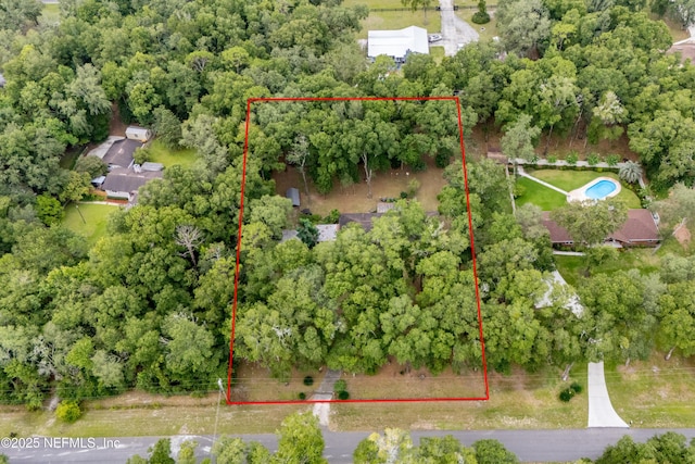 4253 Chokeberry Rd, Middleburg, FL 32068 - aerial overview of property's location with property parcel outlined