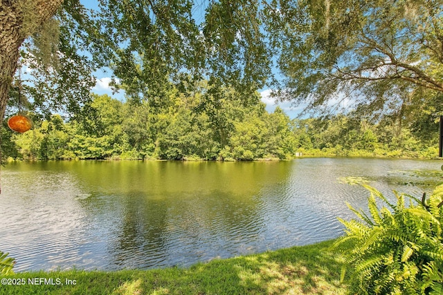 10284 Oxford Lakes Dr, Jacksonville, FL 32257 - photo 75