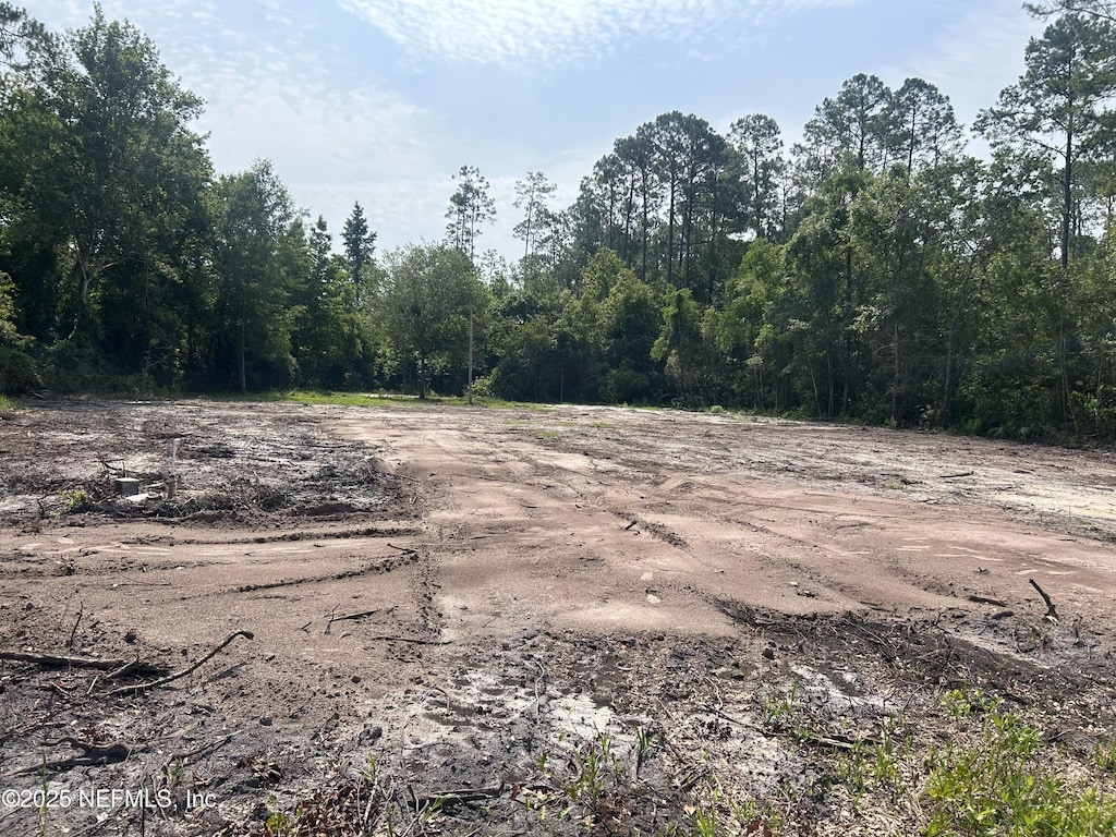 78 N Mimosa Ave, Middleburg, FL 32068 - photo 1