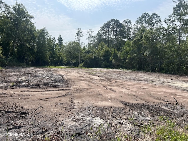 78 N Mimosa Ave, Middleburg, FL 32068 - photo 1