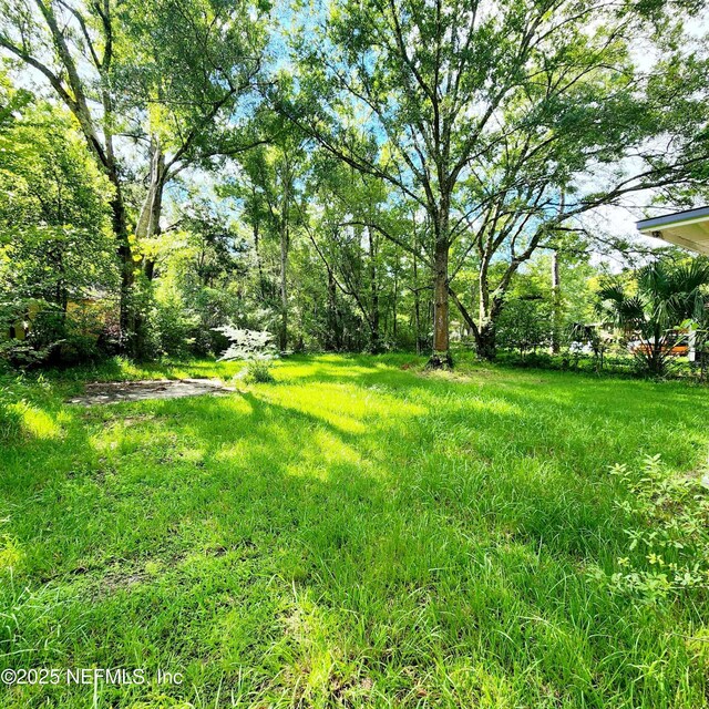 6289 Pettiford Dr W, Jacksonville, FL 32209 - photo 16