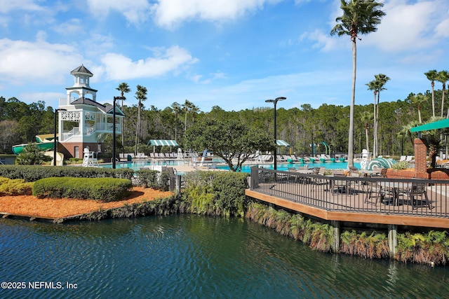 1506 Waterbridge Ct, Fleming Island, FL 32003 - view of community with a pool