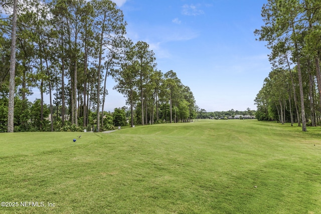 1506 Waterbridge Ct, Fleming Island, FL 32003 - view of property's community featuring a lawn, view of golf course, and view of scattered trees