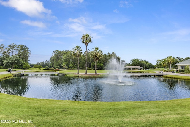 1506 Waterbridge Ct, Fleming Island, FL 32003 - water view
