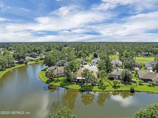 1506 Waterbridge Ct, Fleming Island, FL 32003 - aerial view of residential area with a large body of water