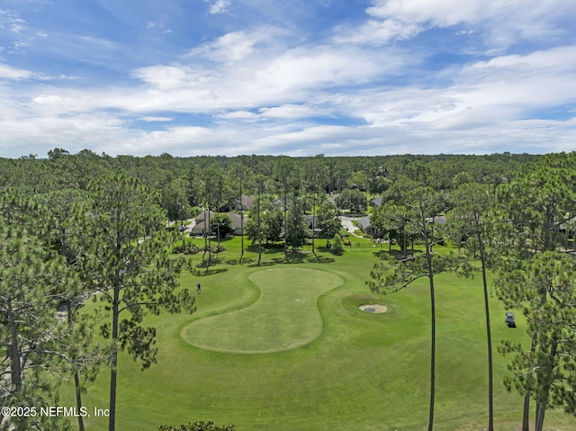 1506 Waterbridge Ct, Fleming Island, FL 32003 - view of home's community with golf course view and a forest view