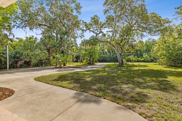 1465 Lambert Ave, Flagler Beach, FL 32136 - view of green lawn featuring view of scattered trees