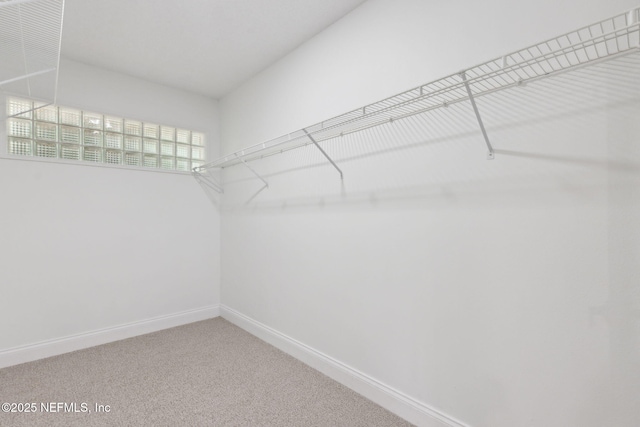 1465 Lambert Ave, Flagler Beach, FL 32136 - spacious closet with carpet flooring