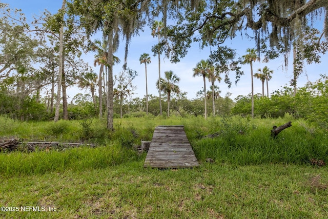 1465 Lambert Ave, Flagler Beach, FL 32136 - view of yard