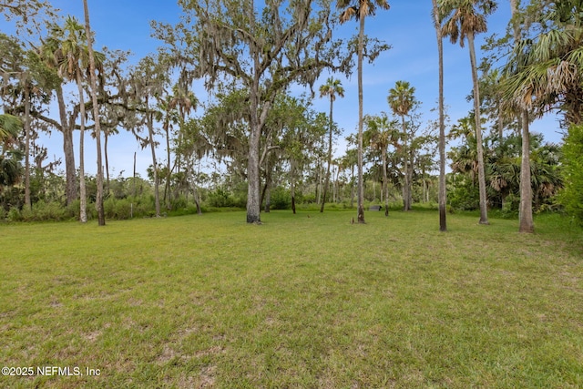 1465 Lambert Ave, Flagler Beach, FL 32136 - view of green lawn