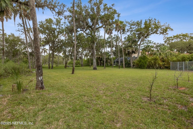 1465 Lambert Ave, Flagler Beach, FL 32136 - view of yard