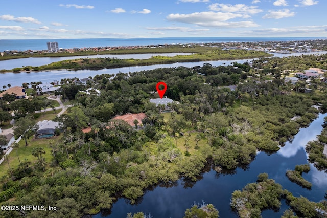 1465 Lambert Ave, Flagler Beach, FL 32136 - aerial view of property and surrounding area featuring a large body of water and a tree filled landscape