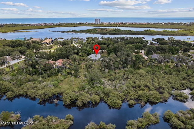 1465 Lambert Ave, Flagler Beach, FL 32136 - drone / aerial view of a nearby body of water and a tree filled landscape