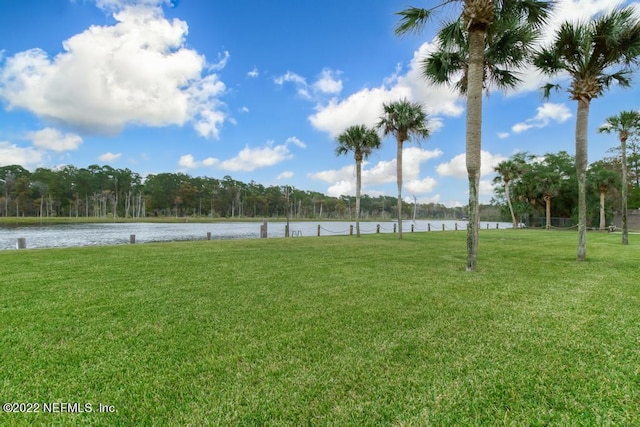1768 El Camino Rd Unit 7, Jacksonville, FL 32216 - photo 4